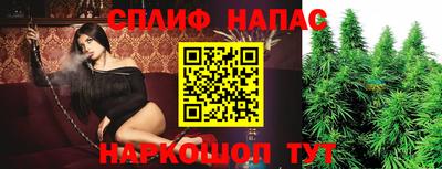 apvp Будённовск