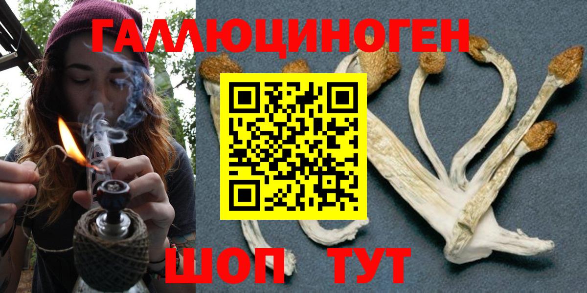 Галлюциногенные грибы Magic Shrooms  Вход с VPN  Тула 
